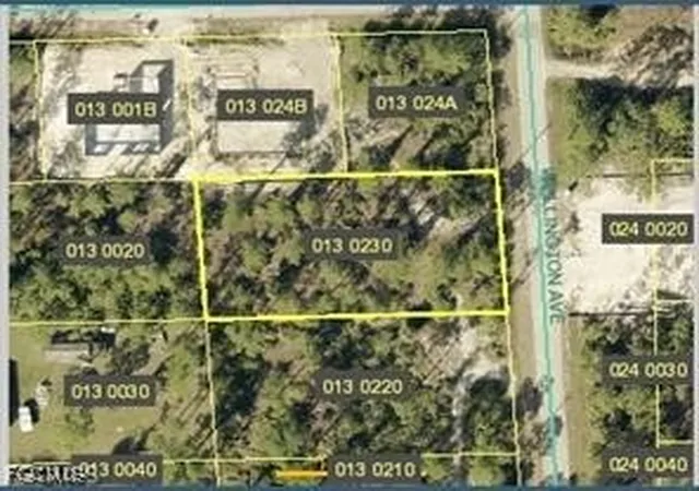 1st image of 2121 Wellington Ave, Alva, FL 33920 | MLS# 2025015136