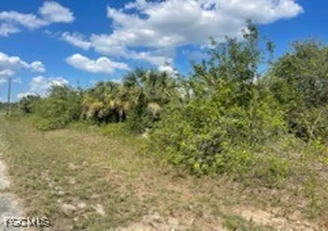 1st image of 307 S Nancy Ln, La Belle, FL 33935 | MLS# 2025015926