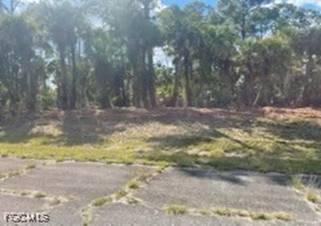 3rd image of 307 S Nancy Ln, La Belle, FL 33935 | MLS# 2025015926