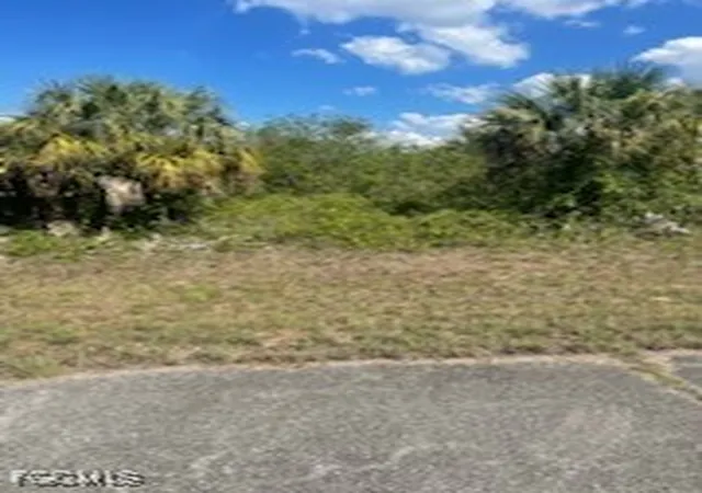 4th image of 307 S Nancy Ln, La Belle, FL 33935 | MLS# 2025015926