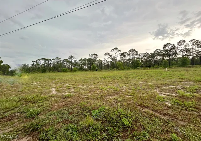 1st image of 4361 Nw 34 Ave, Cape Coral, FL 33993 | MLS# 2025017639