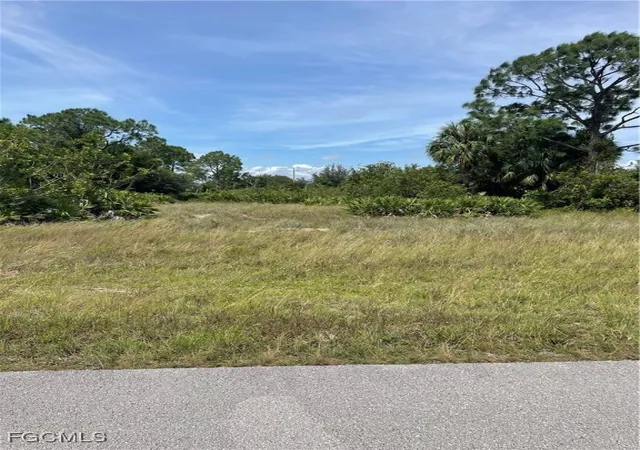 Photo 1 of Land for sale at 317 Pearson St, Lehigh Acres, FL 33974 | MLS# 2025018097 | Listing updated on 2025-12-10