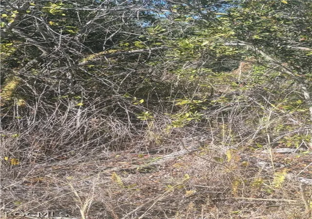 Photo 4 of Land for sale at 12240 Newgate Ave, Port Charlotte, FL 33981 | MLS# 2025019126 | Listing updated on 2026-02-06