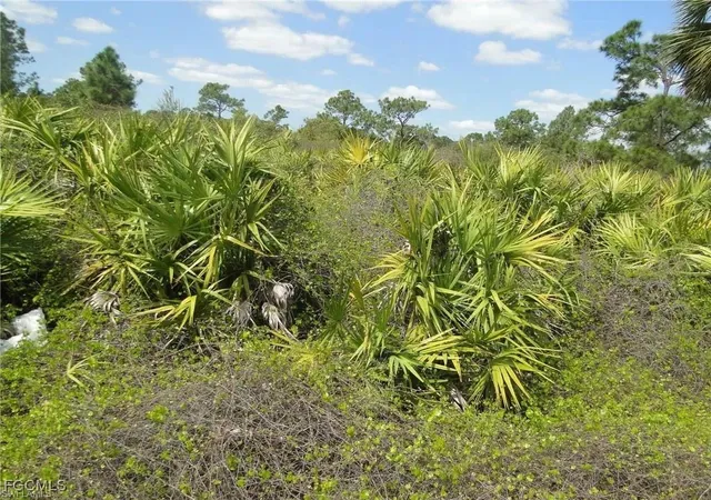 Photo 4 of Land for sale at 5902 Queen Ave N, Lehigh Acres, FL 33971 | MLS# 2025019957 | Listing updated on 2025-12-10