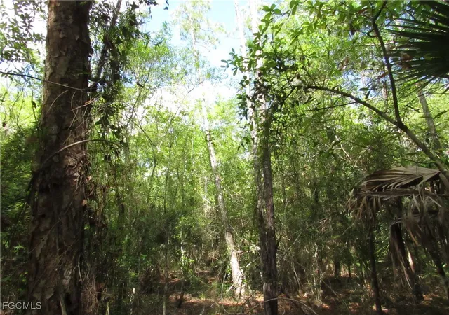 1st image of 1130 Debbie Ln, Labelle, FL 33935 | MLS# 2025020500