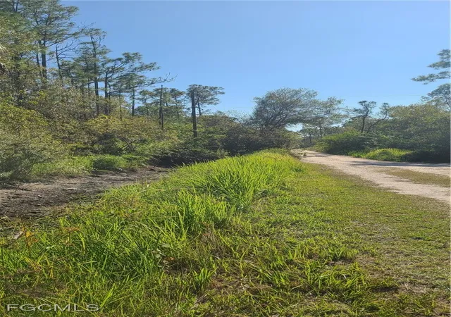 2nd image of 1130 Debbie Ln, Labelle, FL 33935 | MLS# 2025020500