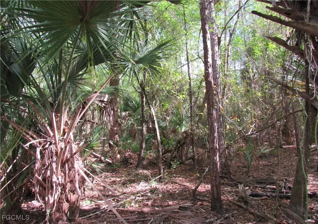 4th image of 1130 Debbie Ln, Labelle, FL 33935 | MLS# 2025020500
