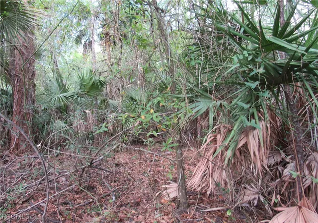 5th image of 1130 Debbie Ln, Labelle, FL 33935 | MLS# 2025020500