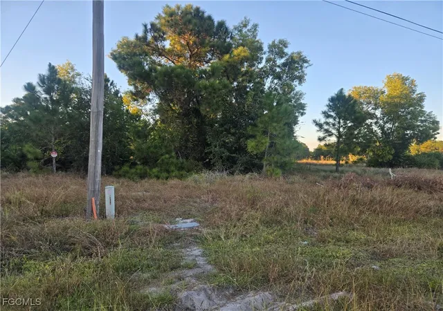 Photo 2 of Land for sale at 521 Denbigshire St, Lehigh Acres, FL 33974 | MLS# 2025020577 | Listing updated on 2025-12-10