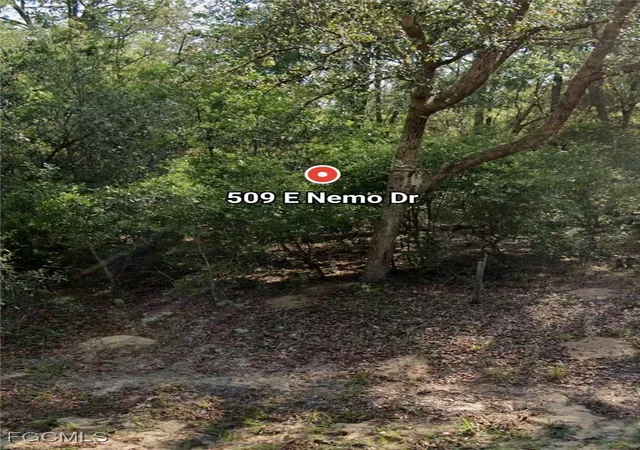 Photo 1 of Sale Pending at 509 E Nemo Dr, Dunnellon, FL 34434 | MLS# 2025020651 | Listing updated on 2026-04-16