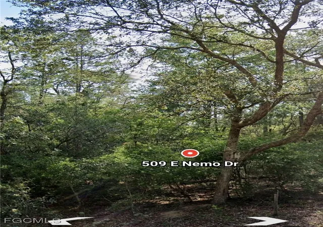 Photo 3 of Sale Pending at 509 E Nemo Dr, Dunnellon, FL 34434 | MLS# 2025020651 | Listing updated on 2026-04-16