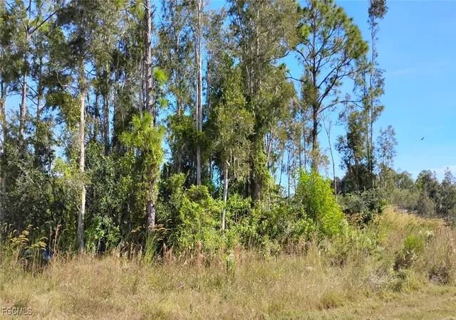 2nd image of 4810 30th St Sw, Lehigh Acres, FL 33973 | MLS# 2025022062