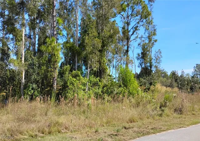 3rd image of 4810 30Th St Sw, Lehigh Acres, FL 33973 | MLS# 2025022062