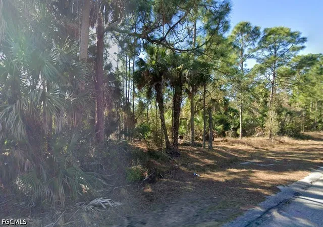Photo 1 of Land for sale at 1103 W 14th Street, Lehigh Acres, FL 33972 | MLS# 2025023253 | Listing updated on 2026-08-03