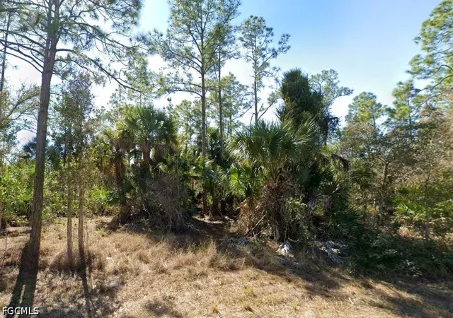 Photo 1 of Land for sale at 1105 W 14th Street, Lehigh Acres, FL 33972 | MLS# 2025023255 | Listing updated on 2026-08-03