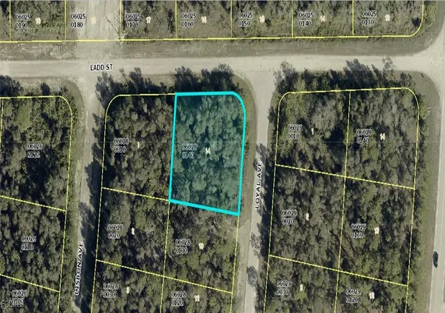 Photo 1 of Land for sale at 1008 Loyal Ave S, Lehigh Acres, FL 33974 | MLS# 2025023704 | Listing updated on 2026-02-17