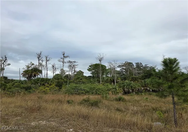 Photo 4 of Land for sale at 623 Lionel Ct, Lehigh Acres, FL 33972 | MLS# 2025024442 | Listing updated on 2026-09-30