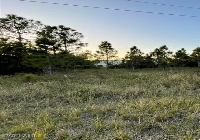 Photo 2 of Land for sale at 916 918 Countess Ave, Lehigh Acres, FL 33974 | MLS# 225084227 | Listing updated on 2026-03-31