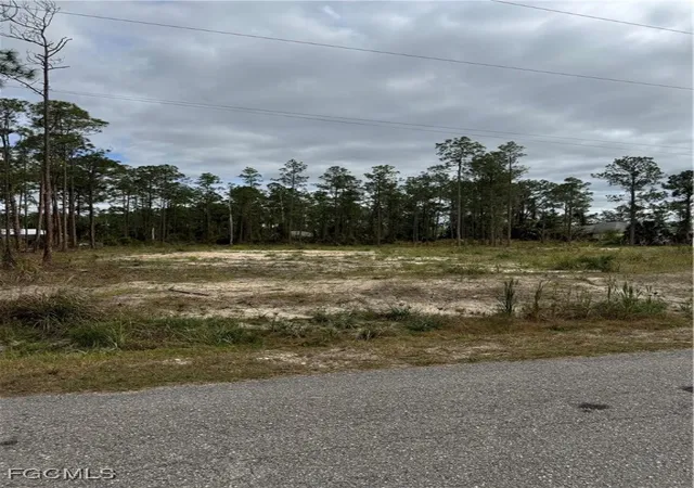 Photo 2 of Land for sale at (Undisclosed), Lehigh Acres, FL 33972 | MLS# 2025025727 | Listing updated on 2026-01-15