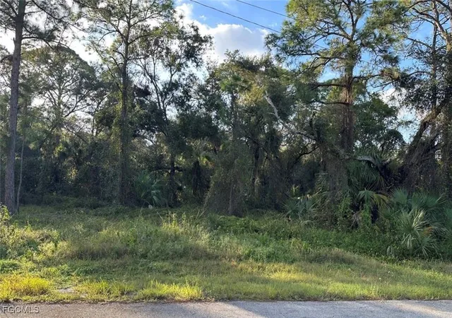 Photo 2 of Land for sale at 1711 Greenwood Ave, Lehigh Acres, FL 33972 | MLS# 2025026204 | Listing updated on 2026-01-23