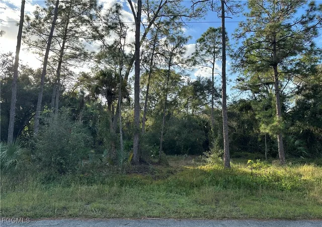 Photo 1 of Land for sale at 1713 Greenwood Ave, Lehigh Acres, FL 33972 | MLS# 2025026206 | Listing updated on 2026-01-23
