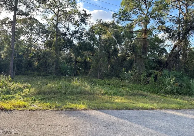 Photo 3 of Land for sale at 1713 Greenwood Ave, Lehigh Acres, FL 33972 | MLS# 2025026206 | Listing updated on 2026-01-23