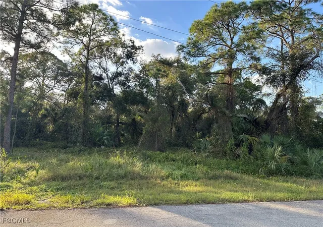 Photo 4 of Land for sale at 1713 Greenwood Ave, Lehigh Acres, FL 33972 | MLS# 2025026206 | Listing updated on 2026-01-23