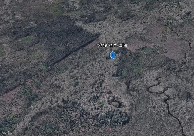 Photo 3 of Land for sale at Sabal Palm Rd, Naples, FL 34114 | MLS# 2025026393 | Listing updated on 2026-08-31