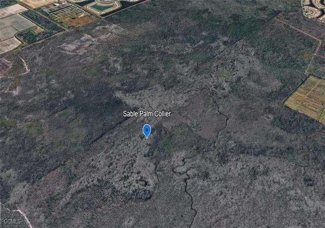 Photo 3 of Land for sale at Sabal Palm Rd, Naples, FL 34114 | MLS# 2025026393 | Listing updated on 2026-08-31