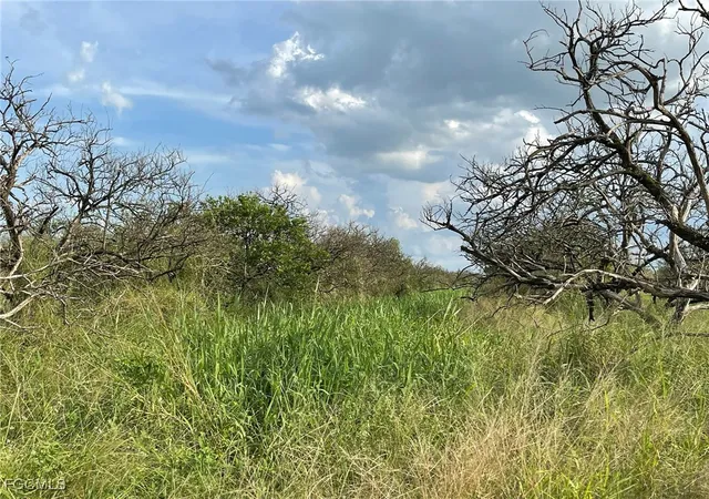 1st image of 6876 5th Rd, Labelle, FL 33935 | MLS# 2026000242