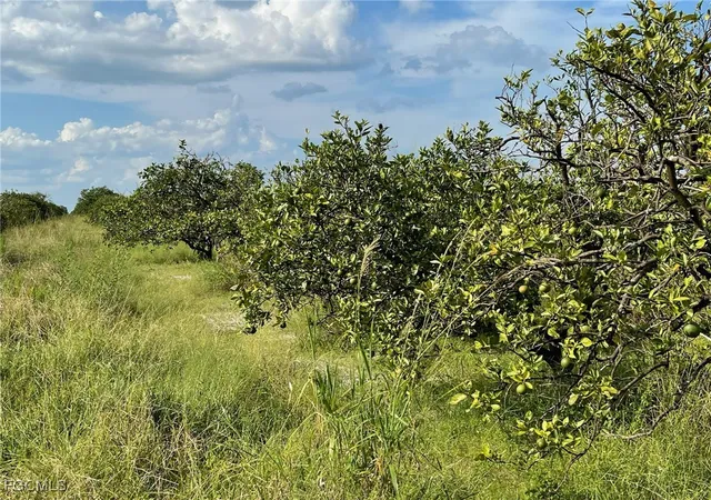 4th image of 6876 5Th Rd, Labelle, FL 33935 | MLS# 2026000242