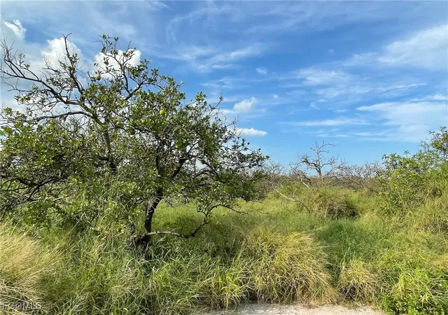 1st image of 6925 6th Rd, La Belle, FL 33935 | MLS# 2026000246