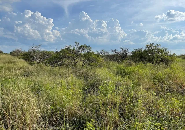2nd image of 6925 6th Rd, La Belle, FL 33935 | MLS# 2026000246