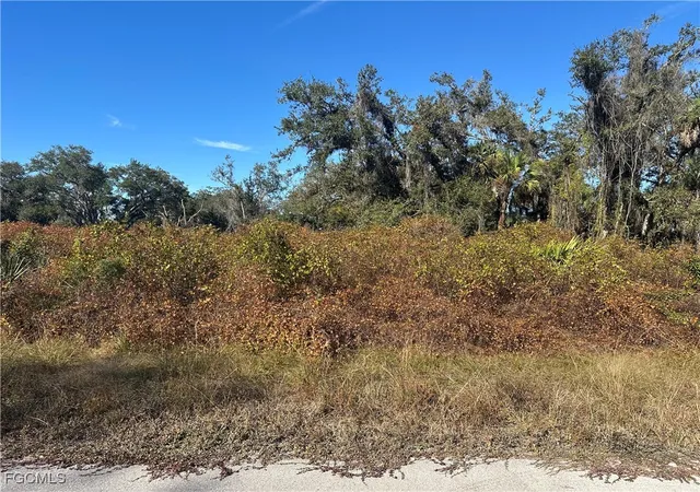 Photo 2 of Land for sale at 646 Kleinart Dr NW, Lehigh Acres, FL 33972 | MLS# 2026000443 | Listing updated on 2026-01-05