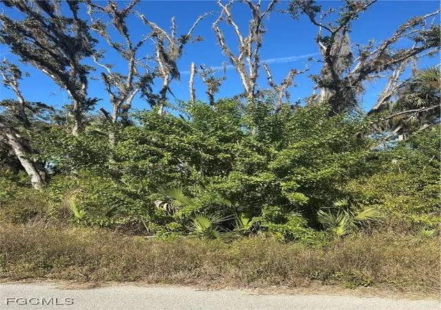 Photo 4 of Land for sale at 642 Kleinart Dr, Lehigh Acres, FL 33972 | MLS# 2026000454 | Listing updated on 2026-01-05