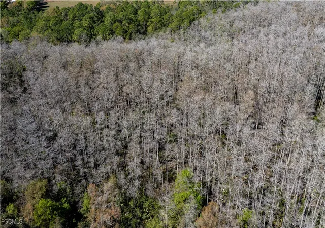 15th image of 900 G Rd, Labelle, FL 33935 | MLS# 2026001059