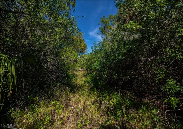 5th image of 850 G Rd, Labelle, FL 33935 | MLS# 2026001076
