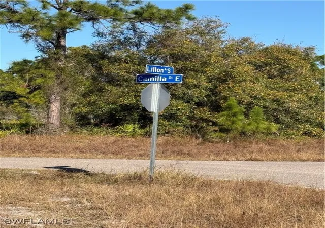 Photo 2 of Land for sale at 385 Lillon Ave S, Lehigh Acres, FL 33974 | MLS# 226001017 | Listing updated on 2026-01-07