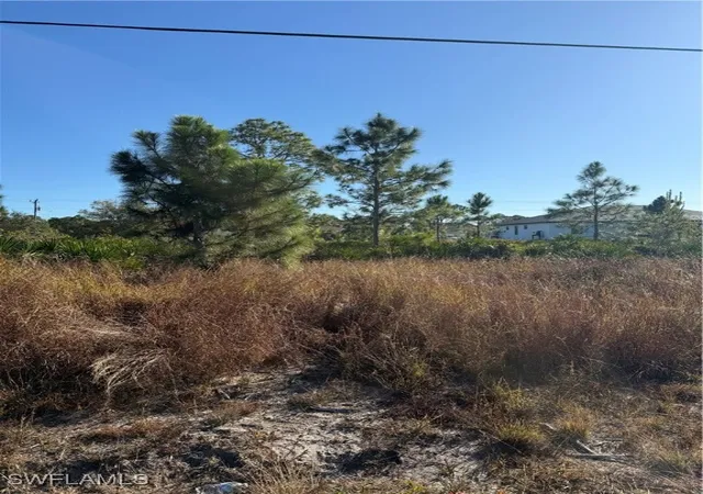 Photo 3 of Land for sale at 385 Lillon Ave S, Lehigh Acres, FL 33974 | MLS# 226001017 | Listing updated on 2026-01-07