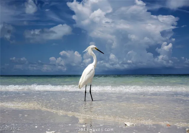2nd image of 1170 Edington Pl, Marco Island, FL 34145