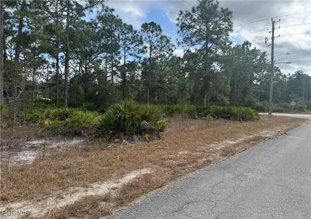 Photo 3 of Land for sale at 706 W 17th Street, Lehigh Acres, FL 33972 | MLS# 2026002413 | Listing updated on 2026-06-04
