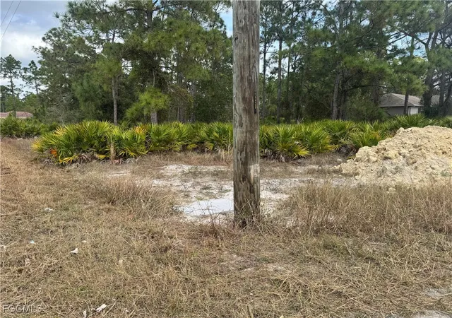 Photo 4 of Land for sale at 706 W 17th Street, Lehigh Acres, FL 33972 | MLS# 2026002413 | Listing updated on 2026-06-04