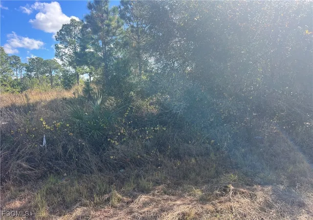 Photo 3 of Land for sale at 2904 Ida Ave N, Lehigh Acres, FL 33971 | MLS# 2026002518 | Listing updated on 2026-01-14