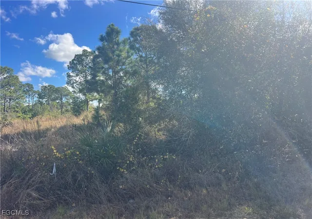 Photo 4 of Land for sale at 2904 Ida Ave N, Lehigh Acres, FL 33971 | MLS# 2026002518 | Listing updated on 2026-01-14