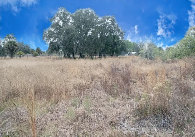 5th image of 269 Avenida Del Centro, Clewiston, FL 33440 | MLS# 2026002594