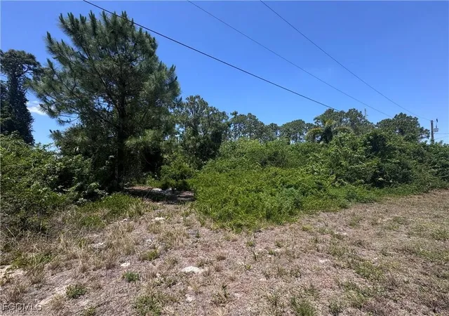 Photo 4 of Land for sale at 56 Wanda Ave S, Lehigh Acres, FL 33976 | MLS# 2026002604 | Listing updated on 2026-10-27