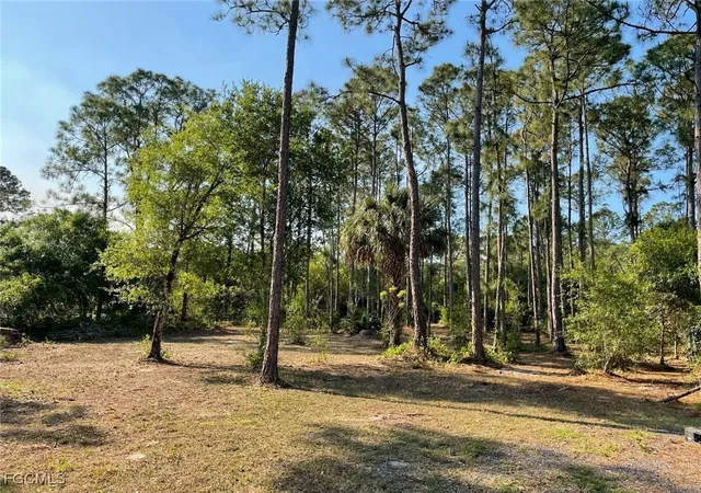 4th image of 783 Pine Cone Ave, Montura Ranches, FL 33440 | MLS# 2026003039