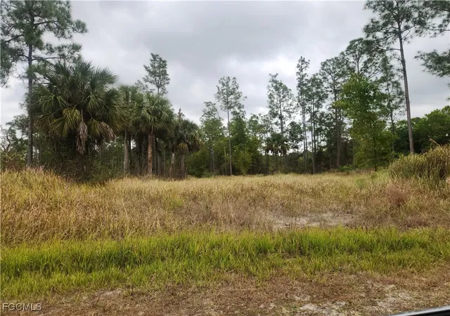 Photo 1 of Land for sale at 1222 Roosevelt Ave, Lehigh Acres, FL 33972 | MLS# 2026003230 | Listing updated on 2026-01-21