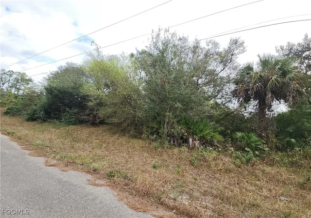 Photo 2 of Land for sale at 1222 Roosevelt Ave, Lehigh Acres, FL 33972 | MLS# 2026003230 | Listing updated on 2026-01-21