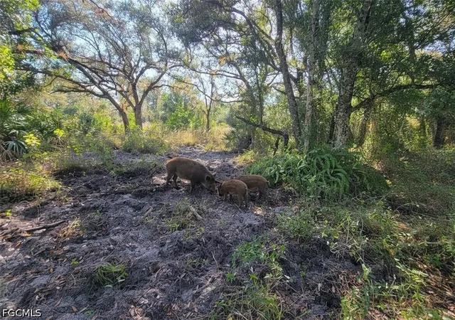 3rd image of 1 Catamount Rd, Labelle, FL 33975 | MLS# 2026003323